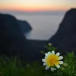 Montenegro *