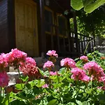 Montenegro * Faralya
