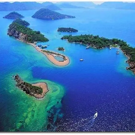 Hotel Montenegro *