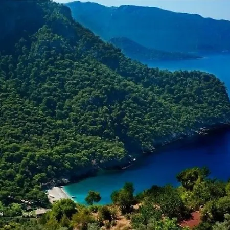 Hotel Montenegro *