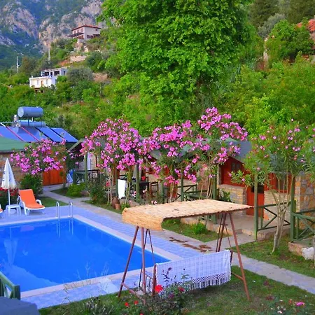 Montenegro * 파랄리아