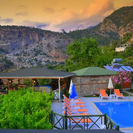 Montenegro * Faralya