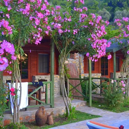 Montenegro * 파랄리아