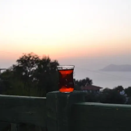 Montenegro * 파랄리아