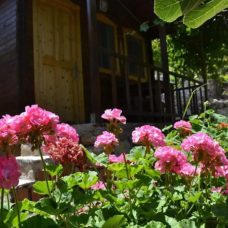 Montenegro * 파랄리아