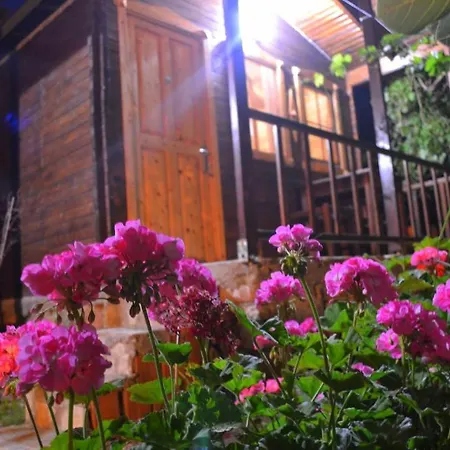 Montenegro * Faralya