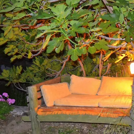 Montenegro * 파랄리아