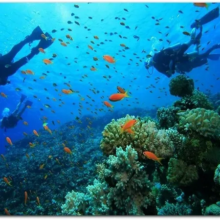 Otel Montenegro Faralya