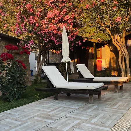 Montenegro 파랄리아